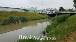 문경 모전천, 수달 서식 확인