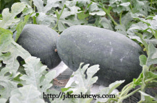 【행복한 부안】간추린 뉴스