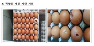식약처, 깨진 계란 불법 유통·사용 식당 등 적발