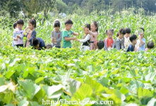 김제시, 친환경농업 5개년 계획 수립