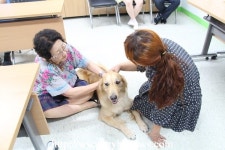 고양시대화노인복지관,“마음속에 우울함을... 반려동물과 함께 해소해 보세요”