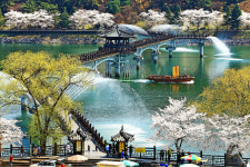 안동국제탈춤 축제 또 다른 볼거리 월영교 분수