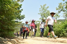 2016 외씨버선길 걷기축제 15일 청송에서 개최