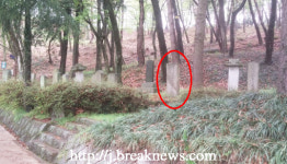 부안 서림공원… 국가산림문화자산 지정