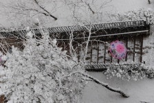 고양시 일산동구 갤러리 가온, 따뜻한 겨울나기 전시회