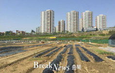 청주시, 인구 100만 늘리기 본격가동