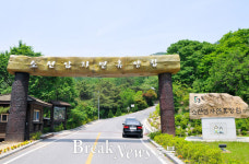 단양군, 소선암 자연휴양림 사계절 인기