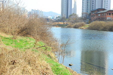 물의 소중함…안양 학의천 청소