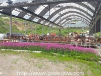 파주시, ‘깨끗하고 아름다운 농장 가꾸기’ 확대 한다