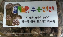 ‘제3회 북한강로 벚꽃 나드리길’ 축제, 4월 7일 가평군 삼회리서 개막