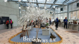 괴산군, 제2회 괴산 미선향 축제 성료