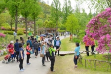 순천만국가정원 5월 황금 연휴기간 53만여명 발길