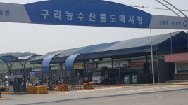 구리농수산물공사 승용차 후원받고 공사계약 적발