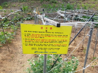 철도시설관리공단, 석면 날리는 경춘선 폐철로 5년간 방치