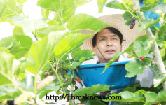 김종규 부안군수 농촌일손 돕기 단비 역할!  