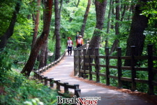 화순 만연산 치유 숲에서 활력 충전하세요