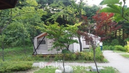 강원도 양양군 양양송이밸리 숲속야영장 개장