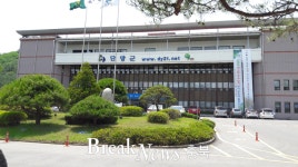 충북도, 단양군 종합감사 결과 94건 문제점 확인