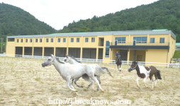 【순창군】간추린 뉴스