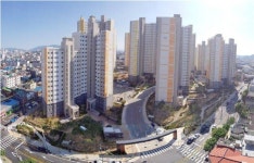 대구시, 팔달시장주변 LH노원 천년나무 이달 입주