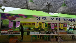 상주시농업기술센터 관내 생산 베리류 대형마트 납품 늘었다