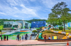 숲과 힐링 행복은 구미에코랜드에서 