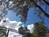 청명한 남이섬의 가을 하늘