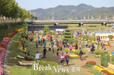 보은군, 국화꽃동산 11월 초까지 연장 운영