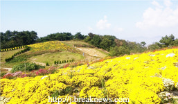 고창군… 간추린 뉴스 