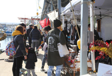양양물치항, 물치비치마켓 오는 9~10일 2차 개장