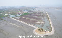 【기획특집】고창갯벌… 생명이 살아 숨 쉰다!