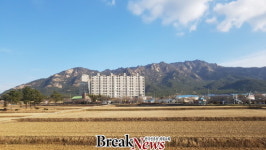 영암군 군서면 공사중단 임대아파트, 297세대 공사 재개