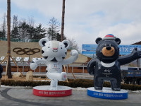 평창군, 평창동계올림픽 개최도시 분위기 조성에 박차