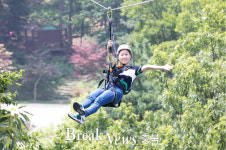 증평 좌구산휴양랜드, 좌구산줄타기 재개장