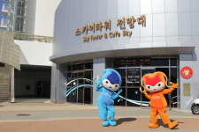 여수시민, 박람회장 스카이타워 전망대 입장료 반값 할인