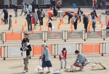 용인시, 반려동물 축제 열려