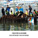제9회 기장미역·다시마축제 6~8일 간 개최