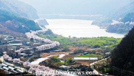 【포토】장수군 번암 동화호의 봄! 