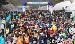 벚꽃길 물사랑대청호마라톤대회 성료