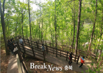 영동군, 민주지산 숲 산림치유 프로그램 운영