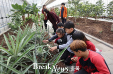 영동 과일나라테마공원 1주년 맞아 문화ㆍ힐링 공간으로 정착