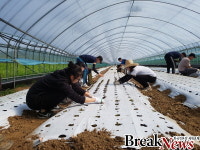 홍성군, ‘학교 밖 녹색체험’ 대안학교 개최