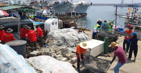 청정 해양도시 경주, 어항 일제 환경정비