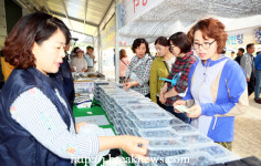 부안군 알콩달콩 블루베리 축제 개최