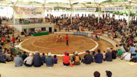 2018 경산자인단오제 대학장사 씨름대회 성황리에 열려