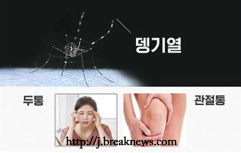 전북서 올해 첫 뎅기열 환자 발생