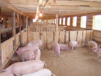 서울 4배크기 연해주 대순농장 한러정상회담 후 주목