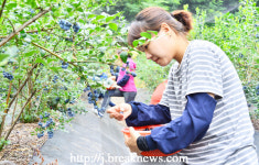 순창군 농촌일손 돕기 한마음 한뜻 