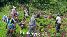 보은 수한면 동정리 주민들, 아름다운 마을 만들기 구슬땀