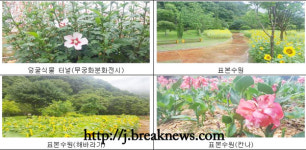 완주 대아수목원 여심 유혹